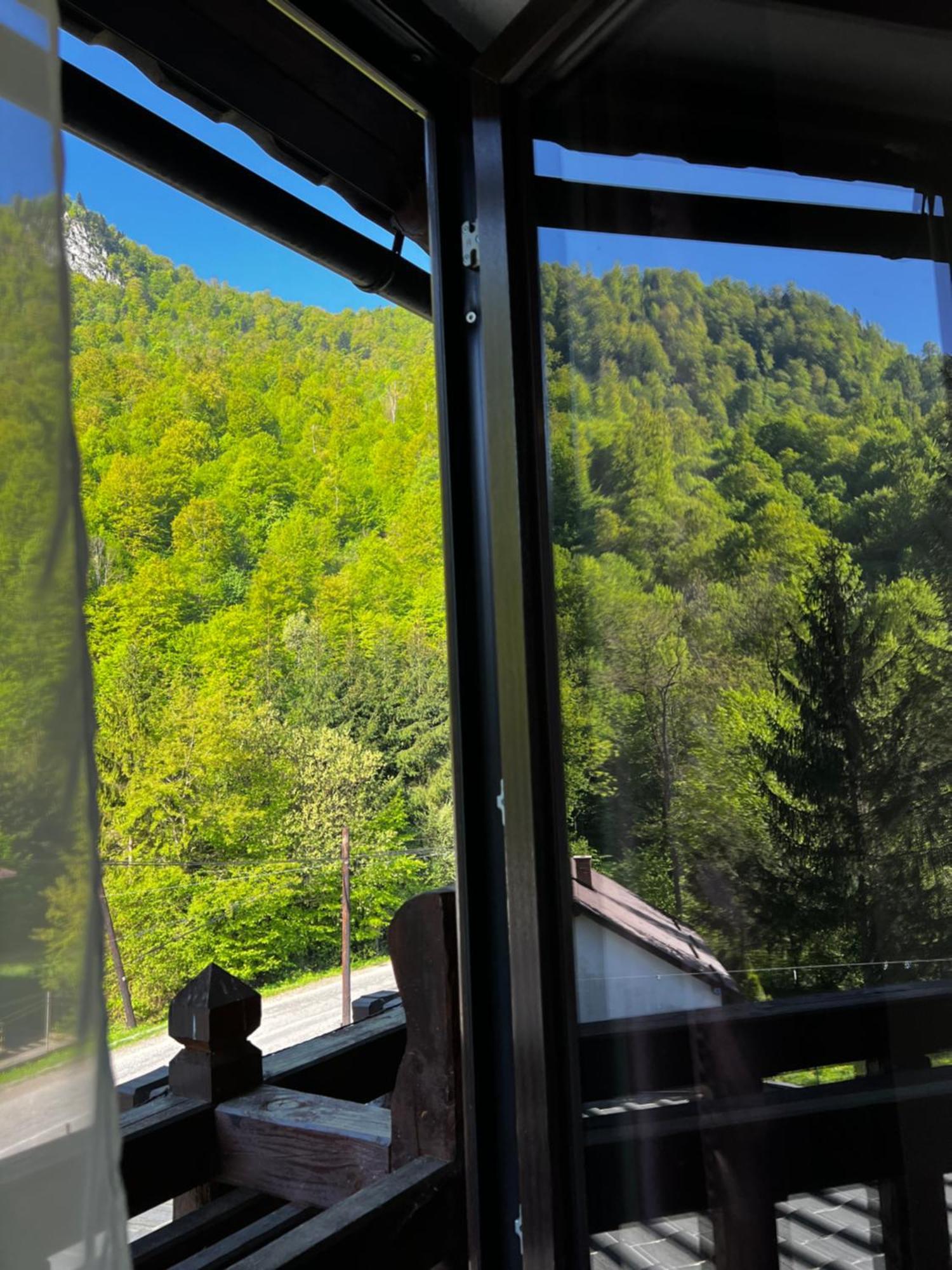 Pensiunea Roxana Valea Viseului Exteriör bild